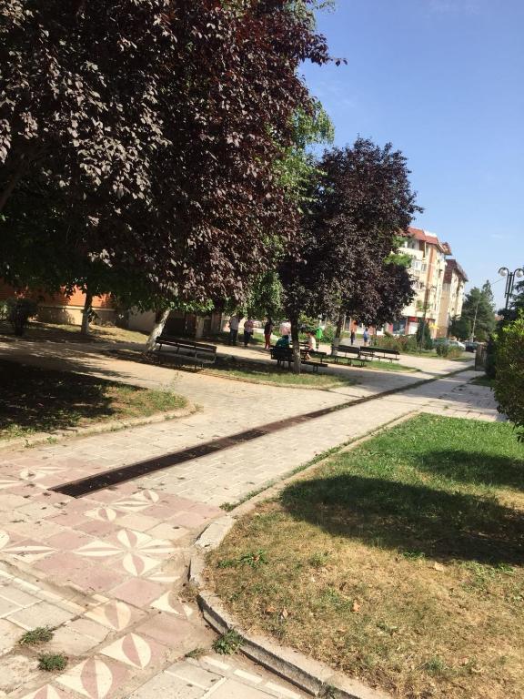 Cozy Park Studio in city center, Campina - 861