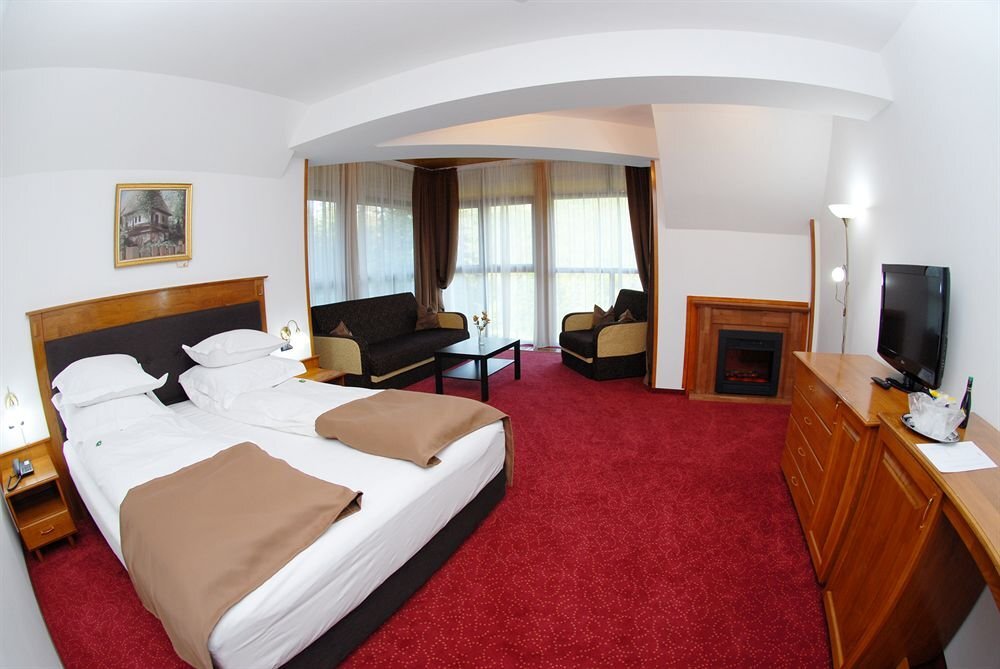 Cumpatu Sinaia Hotel - 228