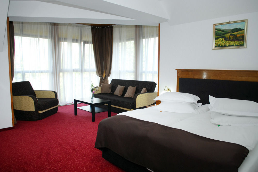 Cumpatu Sinaia Hotel - 261