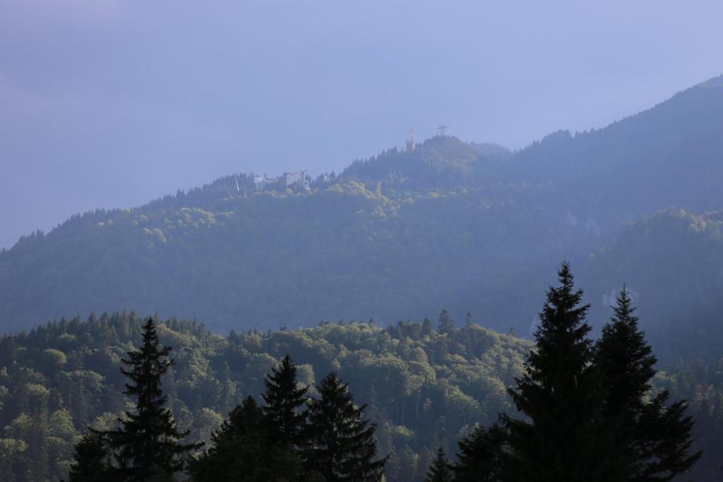 Cumpatu Sinaia Hotel - 802