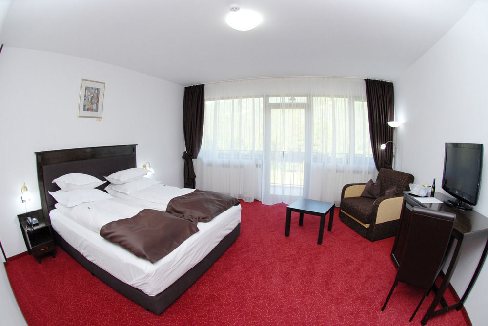 Cumpatu Sinaia Hotel - 80