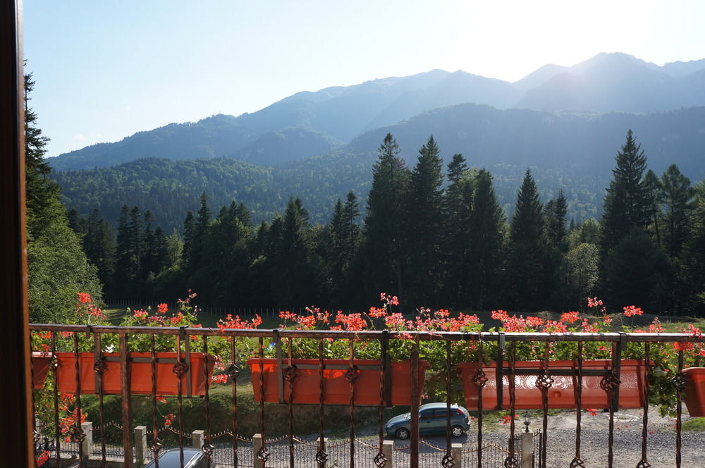 Cumpatu Sinaia Hotel - 901