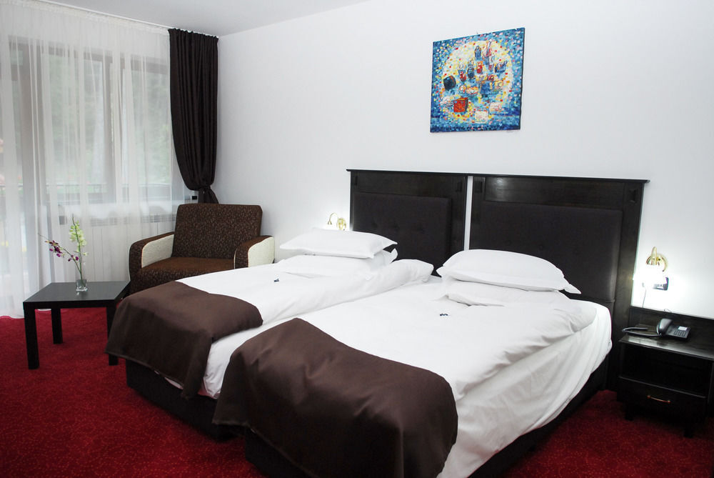 Cumpatu Sinaia Hotel - 635