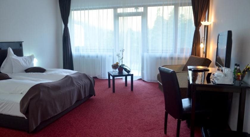 Cumpatu Sinaia Hotel - 221