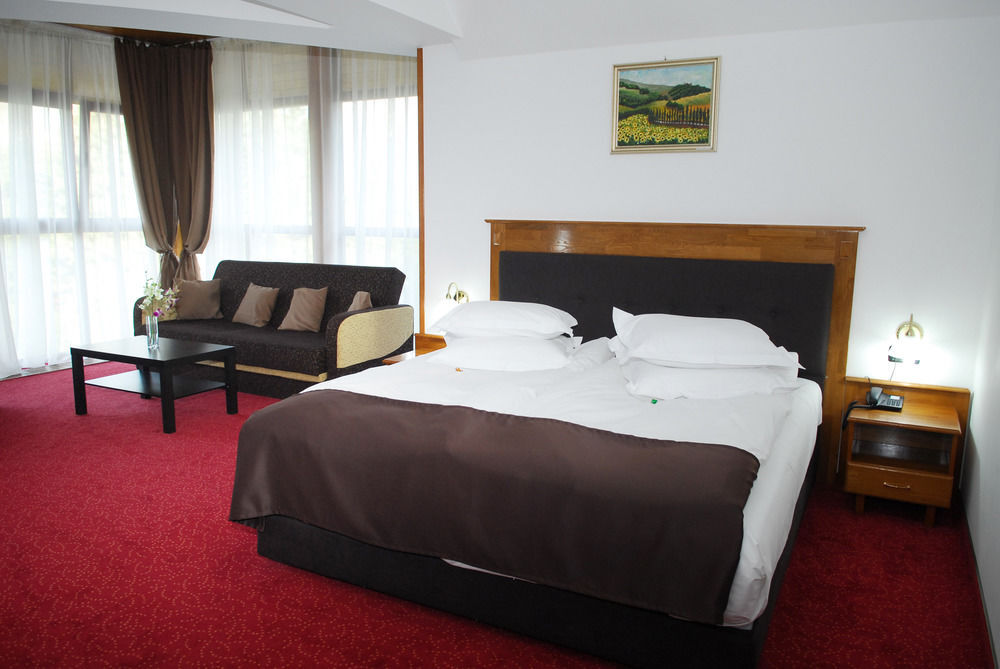 Cumpatu Sinaia Hotel - 35
