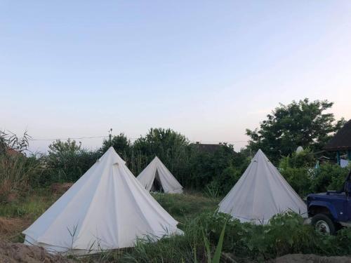 Danube Delta Hostel Homestay - 842