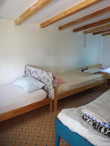 Danube Delta Hostel Homestay - 646