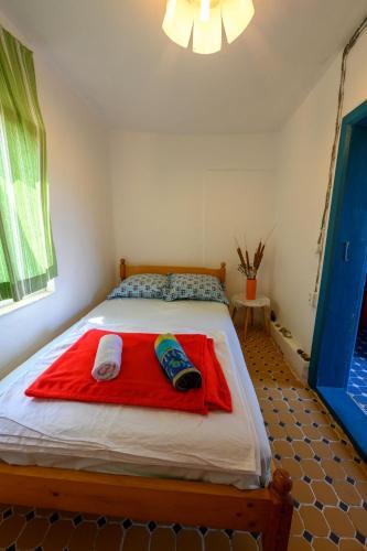 Danube Delta Hostel Homestay - 122