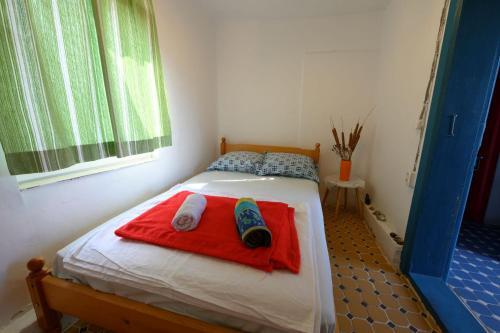 Danube Delta Hostel Homestay - 929