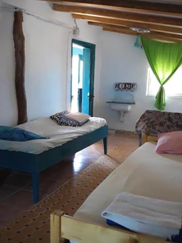 Danube Delta Hostel Homestay - 3