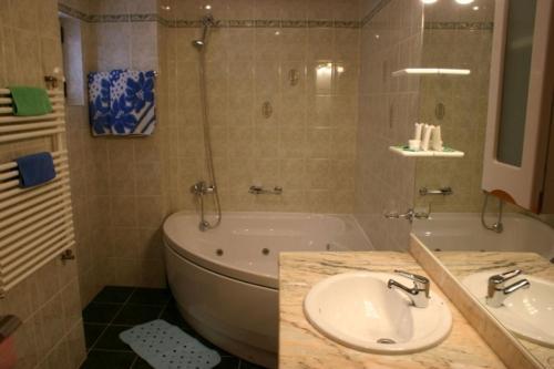 Hotel Decebal - 631