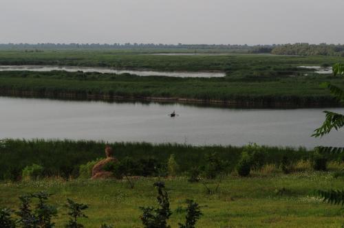 Delta Nature Resort - 418