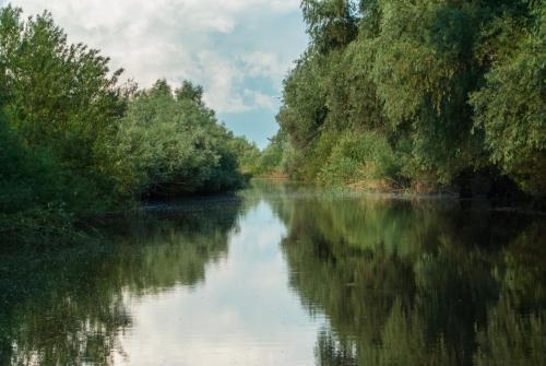 Delta Nature Resort - 471