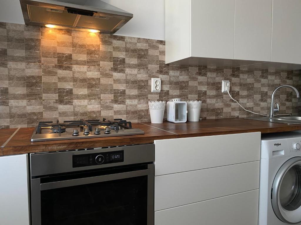 Deluxe Single Room Apartament - 821