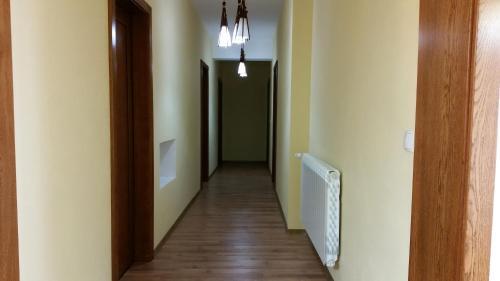 DorTin - 730