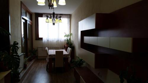 DorTin - 381