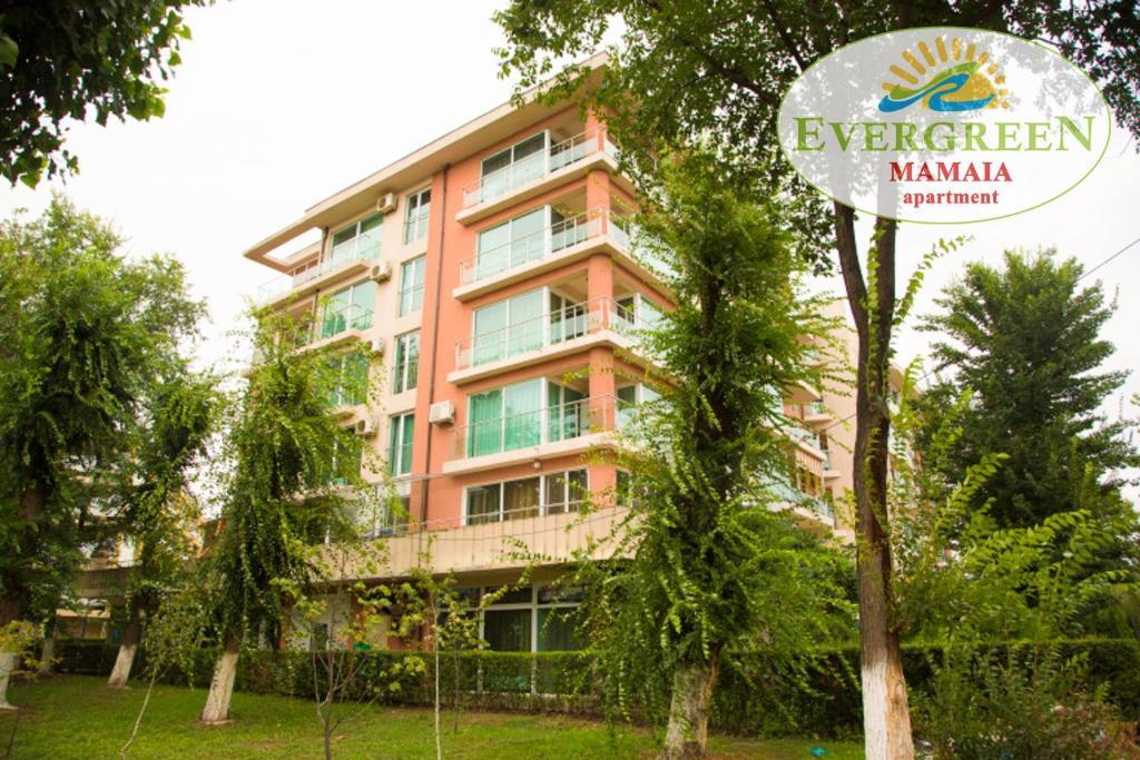 Evergreen Vlas Mamaia - 469