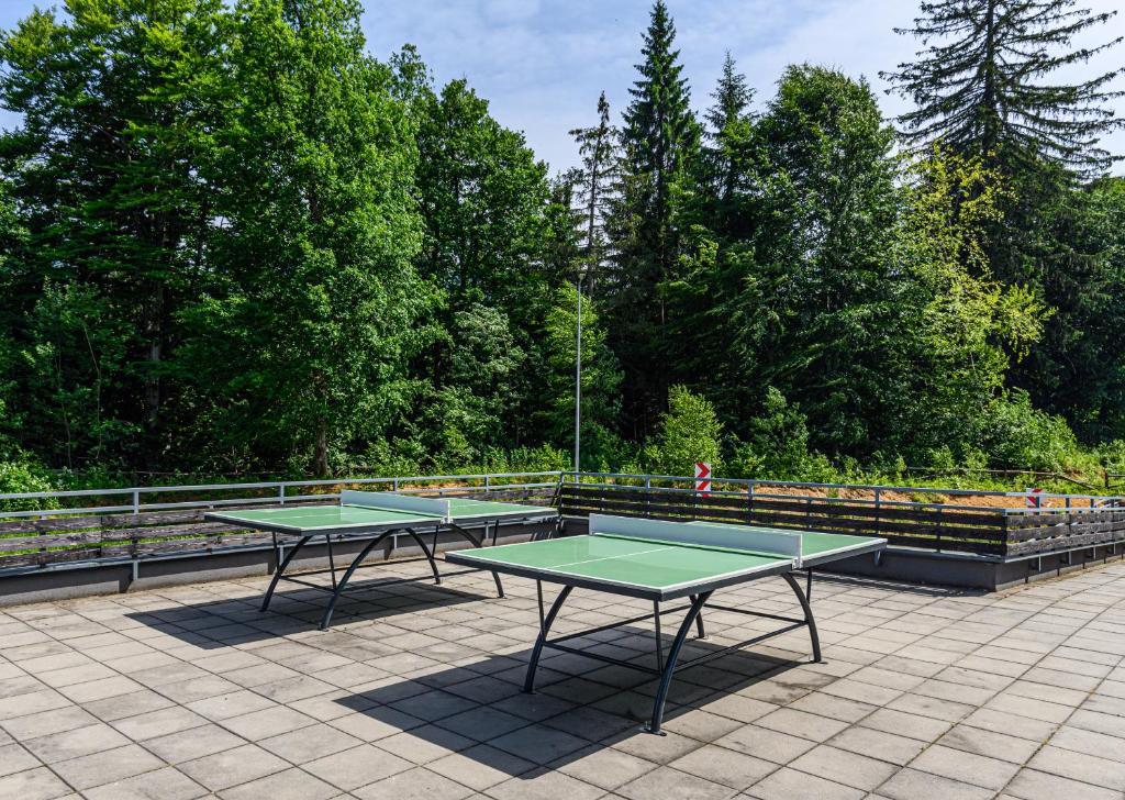 Fabulous Views Silver Mountain 3 Rooms Apartment - 199