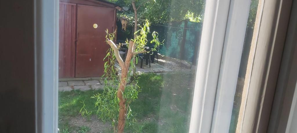 Family 4 rooms apartment in house with garden - 813