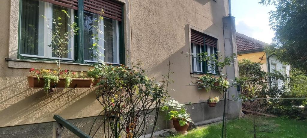 Family 4 rooms apartment in house with garden - 77