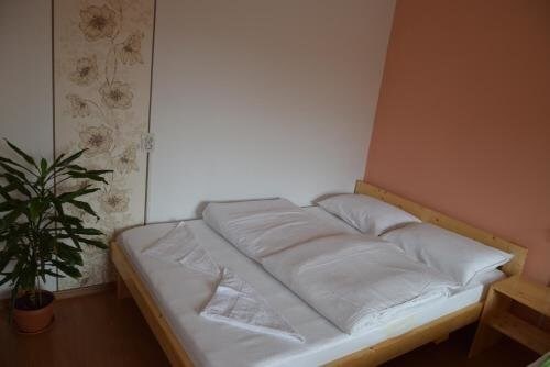 Felszegi Vendégház - 398