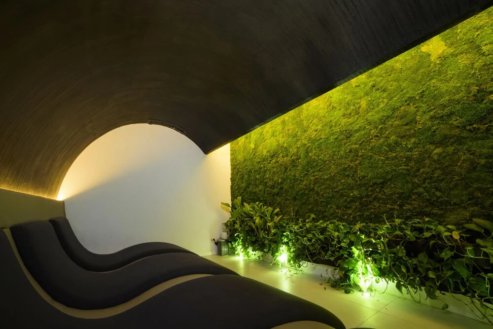 Forest Retreat & Spa - 424