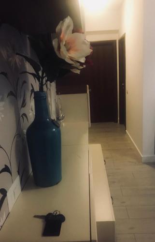 Georgiana Residence Mamaia - 888