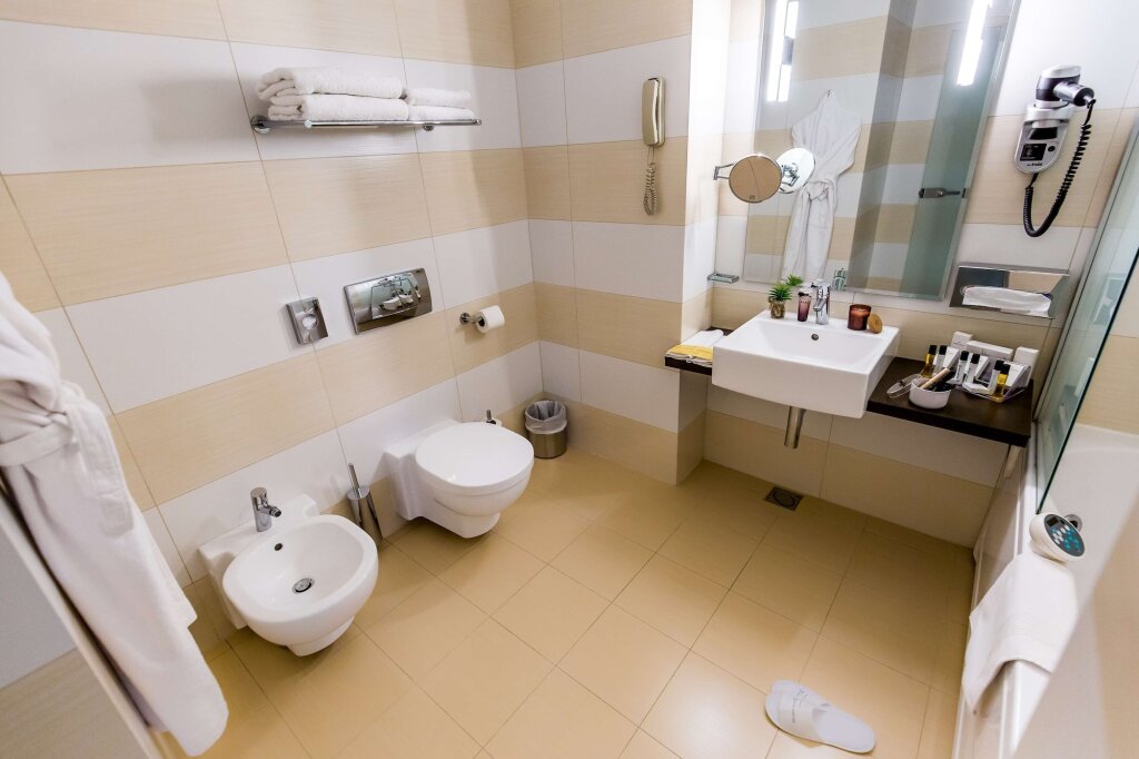 Golden Tulip Ana Tower Sibiu - 635
