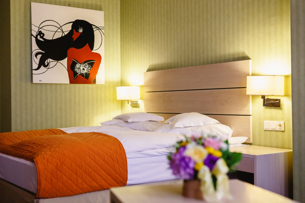Golden Tulip Ana Tower Sibiu - 916