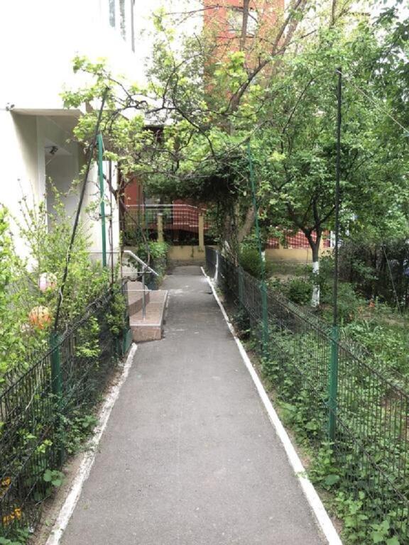 Green Apartment No 12 - 922