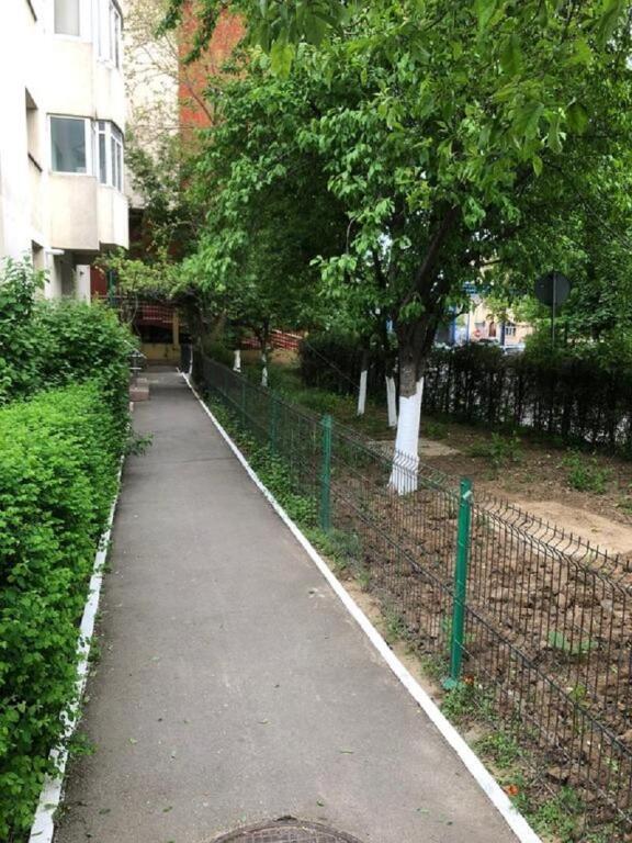 Green Apartment No 12 - 254