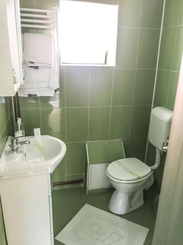 Green House - 397