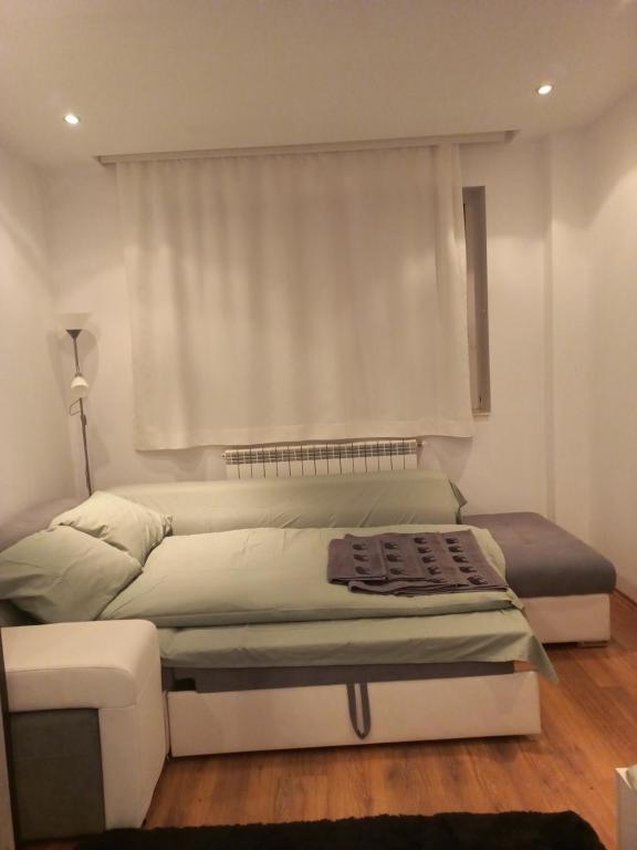 Green House - 632
