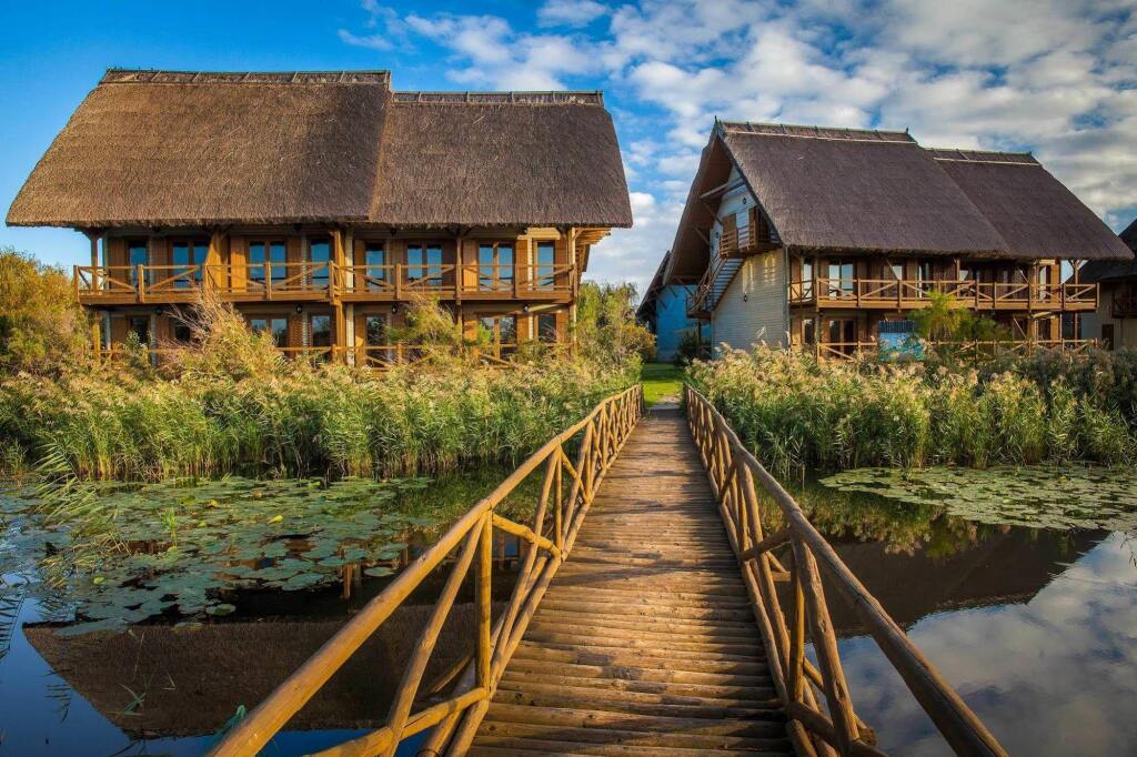 Green Village Resort - 504