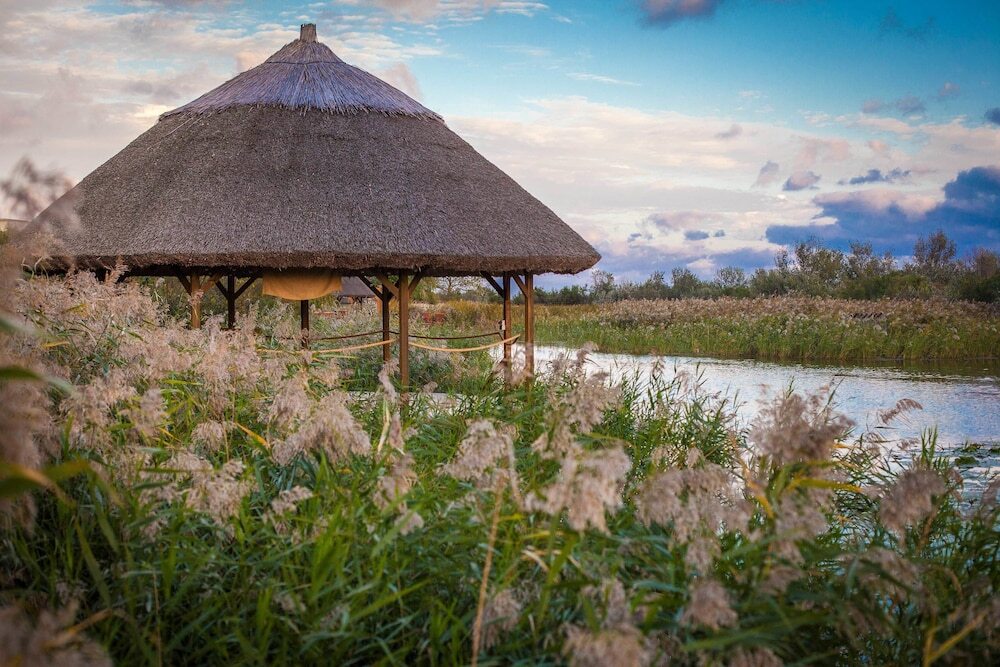 Green Village Resort - 516