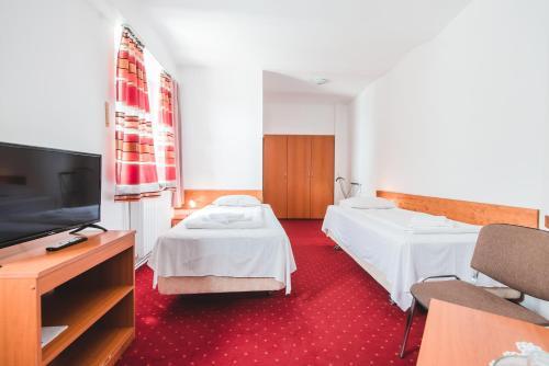 Guesthouse Casa Baciu - 461