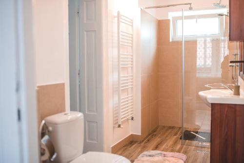 Guesthouse Casa Baciu - 975