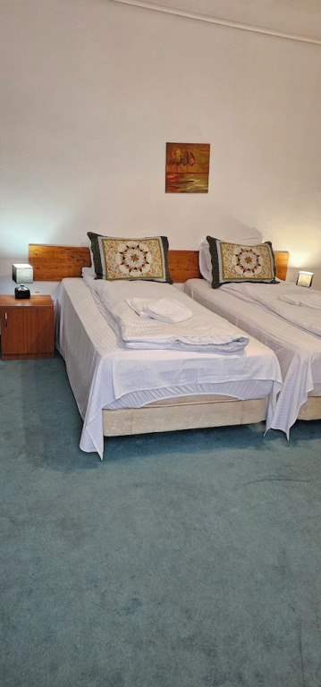 Guesthouse Casa Baciu - 905