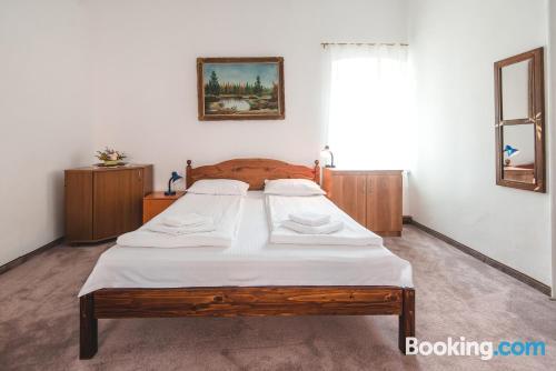 Guesthouse Casa Baciu - 960