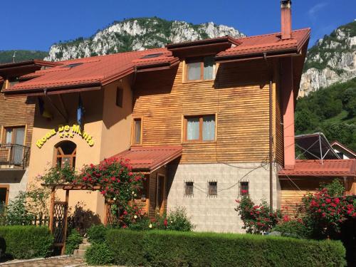 Pension RouaDeMunte - 363