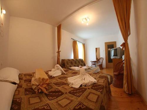 Pension RouaDeMunte - 421