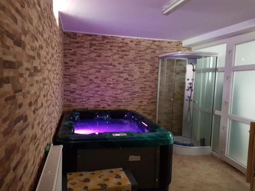 Pensiunea Rustic - 32