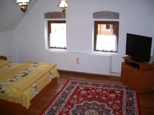 Pensiunea Rustic - 395