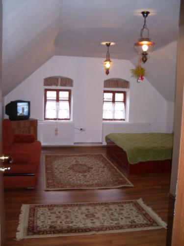 Pensiunea Rustic - 795