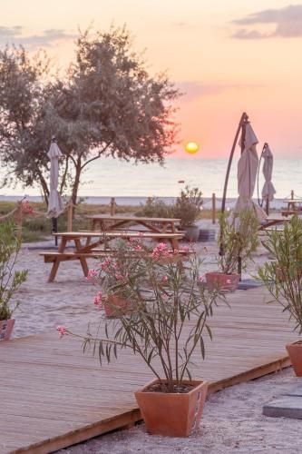 Hacienda De Mare - 874