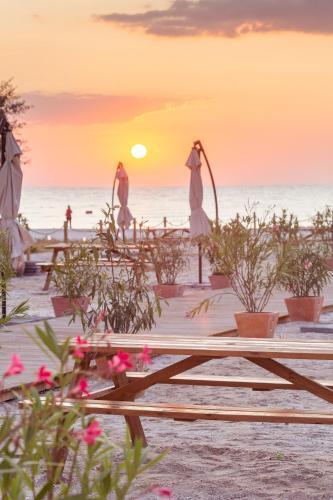 Hacienda De Mare - 163