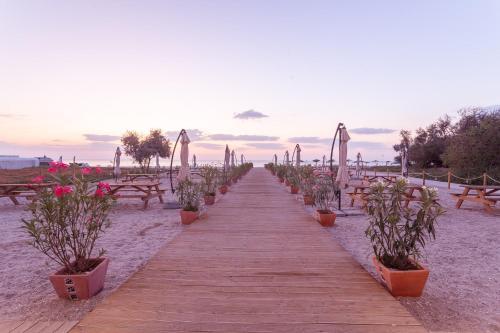 Hacienda De Mare - 916