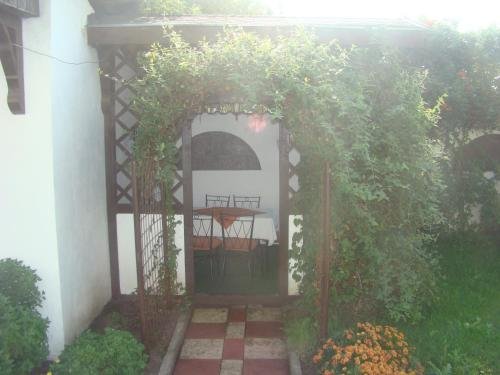 Crasmarita din Buzau - 558