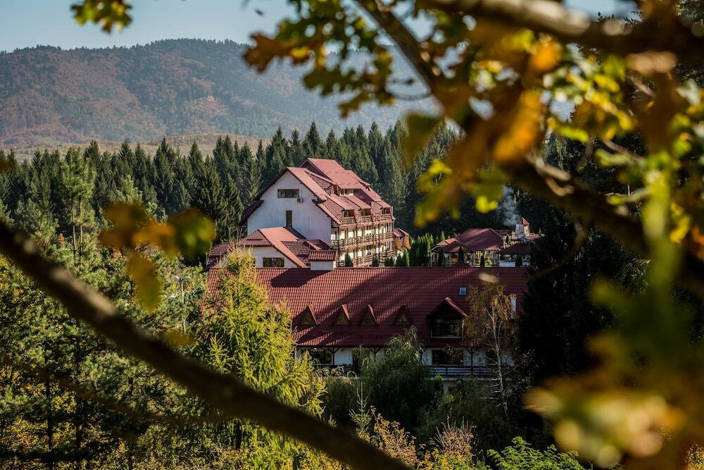 Q Resort and Spa Sacele - 660