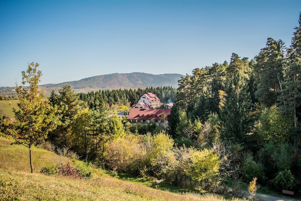 Q Resort and Spa Sacele - 101